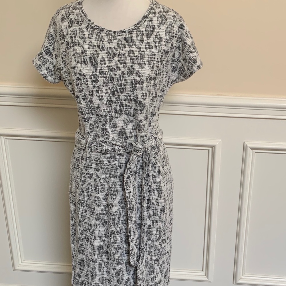 Anthropologie Midi Animal Print Dress